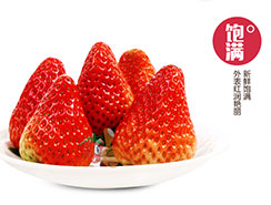 草莓品种